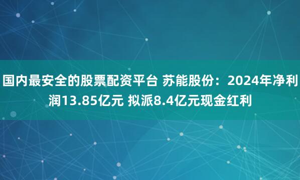 国内最安全的股票配资平台 苏能股份：2024年净利润13.85亿元 拟派8.4亿元现金红利