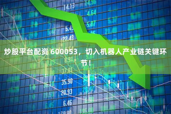 炒股平台配资 600053，切入机器人产业链关键环节！